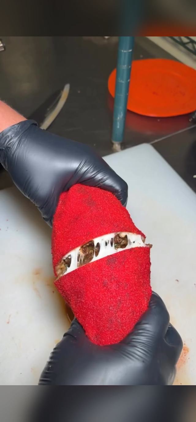 A Hot Cheeto Burrito being pulled apart
